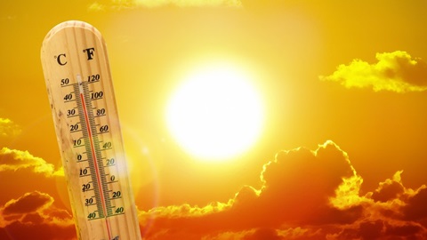 Fa molto caldo e hai bisogno di aiuto ? 